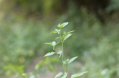 ​颓废的心男生网名(212个)