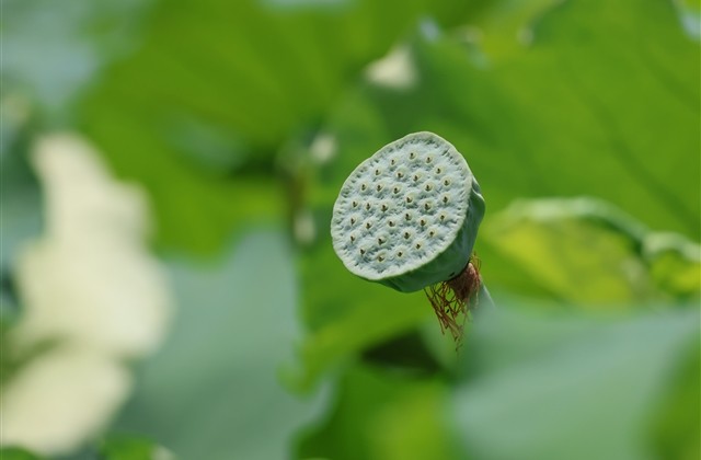 怀念过去的网名微信名(180个)