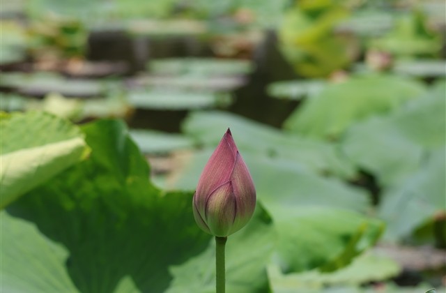 化妆师有趣的网名(精选106个)