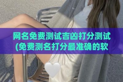 ​网名免费测试吉凶打分测试(免费测名打分最准确的软件)