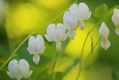 ​女生节送给闺蜜的祝福语(26句)